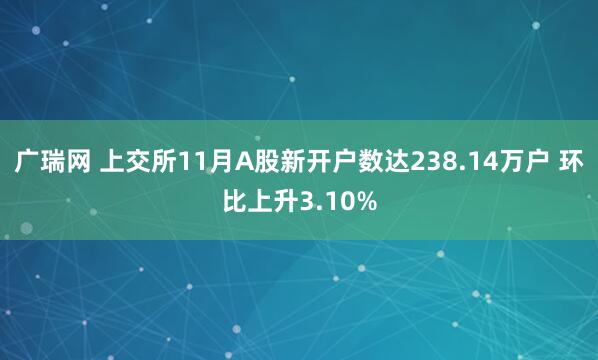 广瑞网 上交所11月A股新开户数达238.14万户 环比上升3.10%